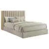 Coaster Fine Furniture 223111Q Arielle - Queen Bookcase Panel Storage Bed - Light Oak