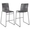 CoasterEssence 192064 Jerome - Woven Rope Metal Bar Chair (Set of 2) - Charcoal