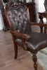 Furniture of America CM3256CH-AC-2PK Nouvelle - Arm Chair (Set of 2)