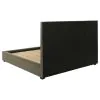Coaster Fine Furniture 315975Q Delsea - Upholstered Queen Panel Platform Bed - Light Brown
