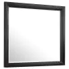 CoasterEssence 200704 Briana - Dresser Mirror - Black