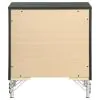 Coaster Fine Furniture 224992 Lucia - 2-Drawer Nightstand Bedside Table - Black