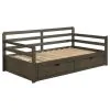 CoasterEssence 305706 Sorrento - 2-Drawer Twin Long Daybed With Extension Trundle - Gray