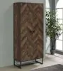 CoasterEveryday 959640 Carolyn - 2 Door Engineered Wood Accent Cabinet - Rustic Oak