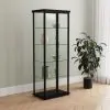Coaster Fine Furniture 950400 Aero - 5-Shelf Display Curio Cabinet With LED Lighting - Black