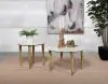 Coaster Fine Furniture 703718-S2 Aldis - 2 Piece Coffee And End Table Set - White