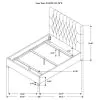 CoasterEssence 300007Q Chloe - Upholstered Queen Panel Bed - Oatmeal