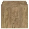 Coaster Fine Furniture 704127 Lynette - Square Engineered Wood End Table - Mango