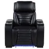 Coaster Fine Furniture 603253PP Zuma - Faux Leather Upholstered Dual Power LED Recliner - Black