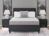 Sierra Sleep® by Ashley M52431 Terra Sleep Soft - Queen Mattress - White