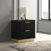 Coaster Fine Furniture 224782 Caraway - 2-Drawer Nightstand - Black
