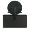 Coaster Fine Furniture 224333M Arini - 8-Drawer Dresser With Mirror - Black