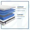 Sealy 52780062 Sealy 52780062 Essentials - Winter Green Soft Faux Euro Top Mattress - California King