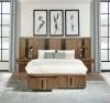 Coaster Fine Furniture 224900Q-S3P Terrace - Queen Wall Panel Storage Bed - Ash Brown