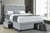 CoasterEssence 305878Q Soledad - Upholstered Queen Storage Panel Bed - Light Gray