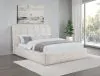 Coaster Fine Furniture 315917CRMQ Nollet - 48