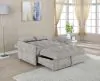 CoasterEssence 508307 Cotswold - Upholstered Convertible Sleeper Sofa Bed - Light Gray