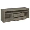 CoasterEssence 701024 Burke - 2-Drawer Engineered Wood TV Stand - Gray Driftwood