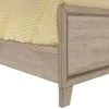 Samuel Lawrence Furniture S496-YBR-K10 River Creek - Twin Panel Bed with Trundle - River Birch Brown