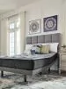 Sierra Sleep® by Ashley M50931 Sierra Sleep® by Ashley M50931 Comfort Plus - Queen Mattress - 59