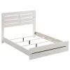CoasterEveryday 207051Q Brantford - Wood Queen Panel Bed - Coastal White