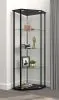 CoasterEssence 953234 Zenobia - 4-Shelf Curio Cabinet Display Case - Black