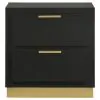 Coaster Fine Furniture 224782 Caraway - 2-Drawer Nightstand - Black