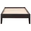 CoasterEssence 300555T Hounslow - Twin Universal Platform Bed - Cappuccino