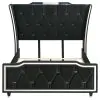 Coaster Fine Furniture 223161QB1 Lorient - Queen Headboard, Box 1 of 4 - Black