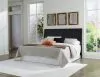 Ashley Furniture B1013-58 Danziar - King Panel Headboard - Black