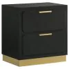 Coaster Fine Furniture 224782 Caraway - 2-Drawer Nightstand - Black