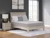 Sierra Sleep® by Ashley M52331 Sierra Sleep® by Ashley M52331 Terra Sleep Medium - Queen Mattress - White