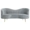 CoasterEssence 506864-S2 Sophia - 2 Piece Upholstered Channel Tufted Sofa Set - Gray