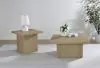 Coaster Fine Furniture 710918-S2 Devar - 2 Piece Square Cocktail Coffee End Table Set - Latte