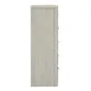 Liberty Furniture 522-BR41 Modern Play - 5 Drawer Chest - Natural White