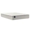 Sealy 52780031 Essentials - Winter Green Soft Faux Euro Top Mattress - Twin Long