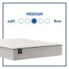 Tempur Sealy 52639062 Tempur Sealy 52639062 Essentials - Winter Green Medium Faux Euro Top Mattress - California King