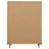 CoasterElevations 224305 Arini - 5-Drawer Bedroom Chest - Sand Wash