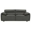 Coaster Fine Furniture 509505 Buxton - Top Grain Leather Upholstered Loveseat - Graphite