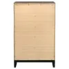 CoasterEveryday 212425 Watson - 5-Drawer Bedroom Chest - Gray Oak