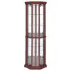 CoasterEssence 3393 Appledale - 6-Shelf Corner Curio Display Cabinet - Medium Brown