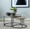 CoasterEveryday 736028 Lainey - 2 Piece Round Faux Marble Nesting Coffee Table - Gray