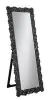 CoasterEveryday 961422 Mckay - Acrylic Frame Standing Mirror - Smokey Gray