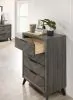 Furniture of America CM7472GY-C Vagan - Chest