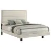 Coaster Fine Furniture 225061Q Trenton - Wood Queen Panel Bed - Rustic Cream