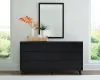 Ashley Furniture B1013B11 Danziar - Dresser And Mirror - Black