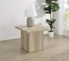 Coaster Fine Furniture 710877 Devar - Square Engineered Wood End Table - Distressed Pine
