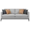 CoasterElevations 508681 Apperson - Upholstered Track Arm Sofa - Light Gray