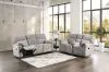 Furniture of America CM9908DV-LV-PK Josias - Loveseat - Light Gray