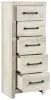 Ashley Furniture B192-11 Ashley Furniture B192-11 Cambeck - Narrow Chest - Whitewash
